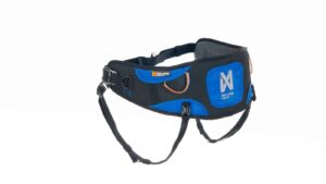 Ceinture pour tenir son chien