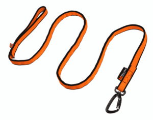 Laisse pour chien élastique