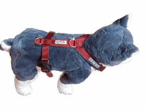 Harnais de trekking pour chien (bordeaux)