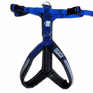 Trekkinggeschirr blau