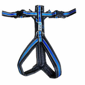 Harnais de trekking pour chien (bleu réfléchissant)