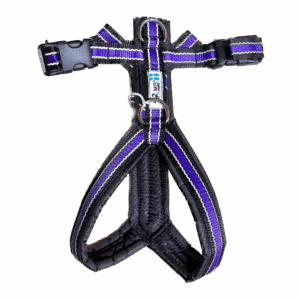 Harnais de trekking pour chien (violet réfléchissant)